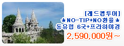 [�մ����Ư��]��NO-TIP*NOȯ���ڵ����� 6��+�����Ͼ߰�/�ٴ��갭������ 9��-OZ/KE