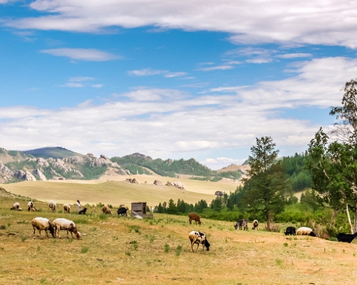 내몽고/우루무치